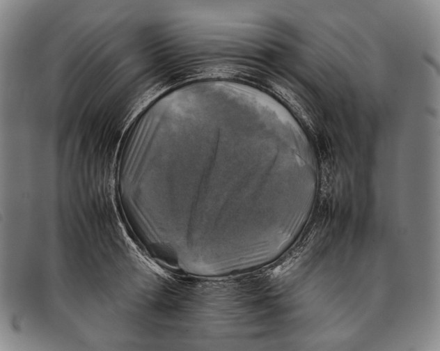 X0000097840802200804041442