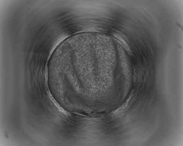 X0000097840804200804041442