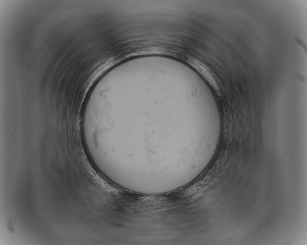X0000097840805200804041442
