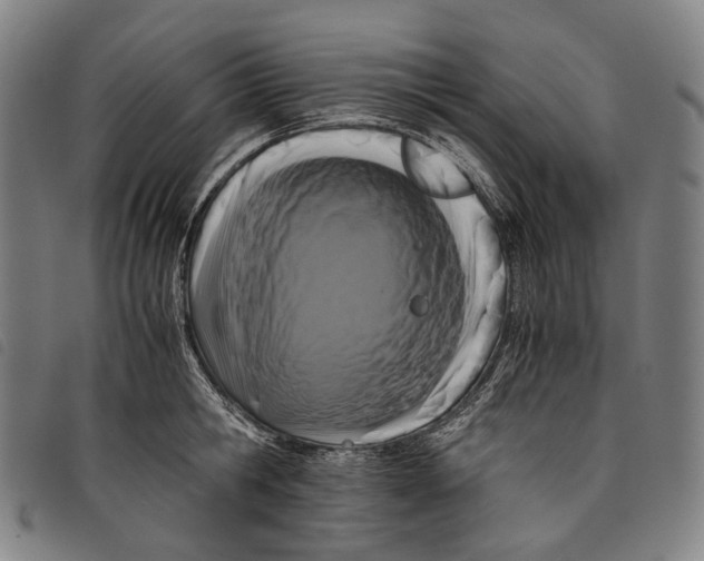 X0000097840806200804041442