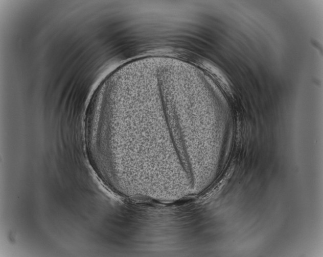 X0000097840808200804041442