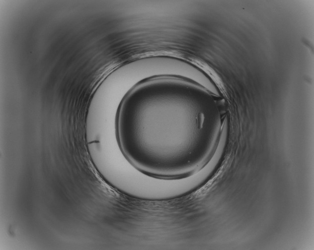X0000097840809200804041442