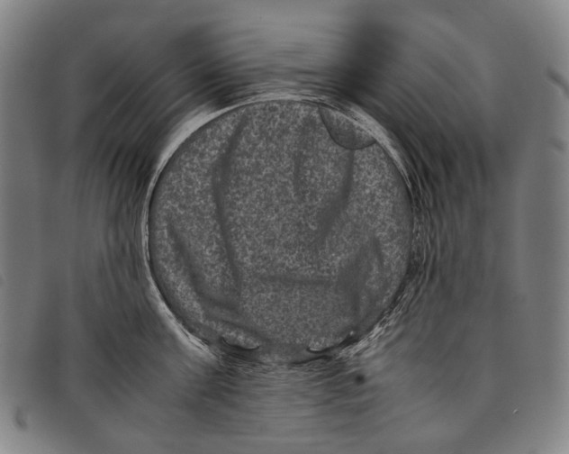 X0000097840811200804041442