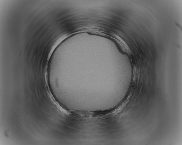 X0000097840812200804041442