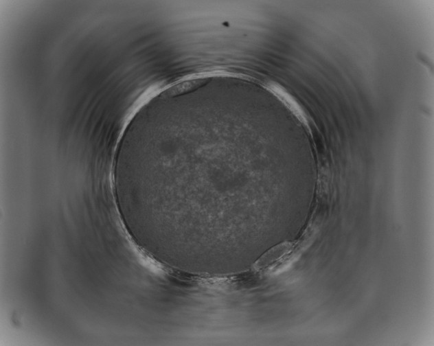 X0000097840813200804041442