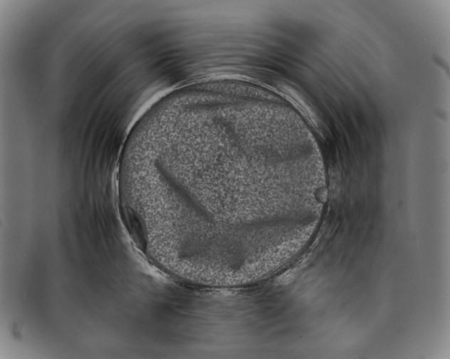 X0000097840814200804041442