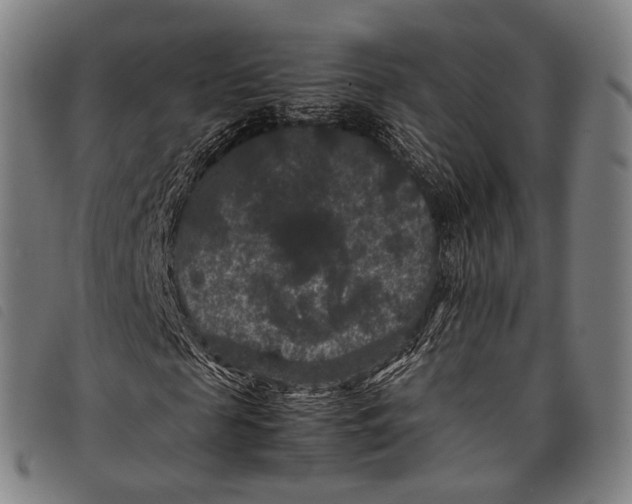 X0000097840817200804041441