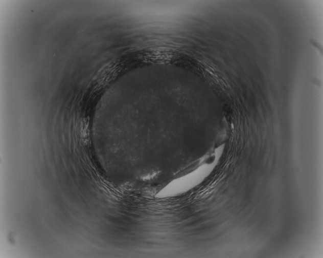X0000097840818200804041441