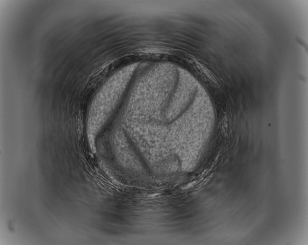 X0000097840821200804041441