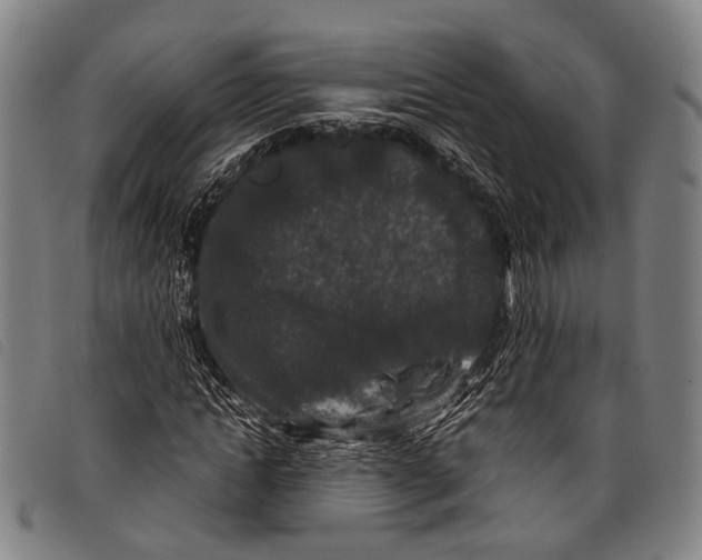 X0000097840822200804041441