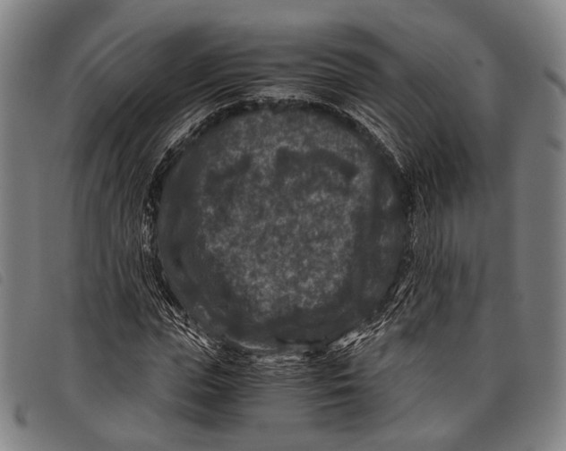X0000097840823200804041441