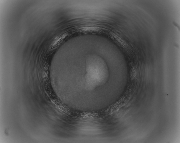 X0000097840824200804041441