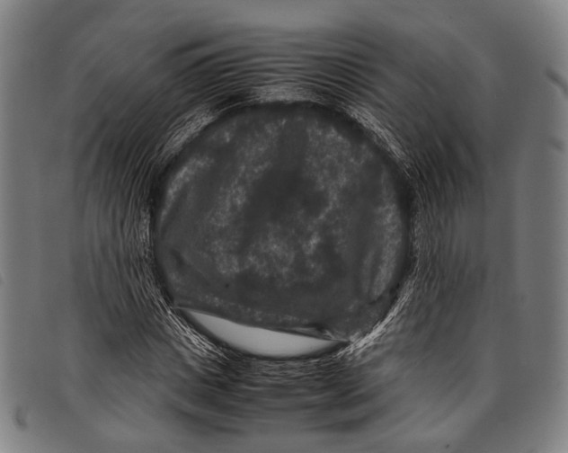 X0000097840825200804041441