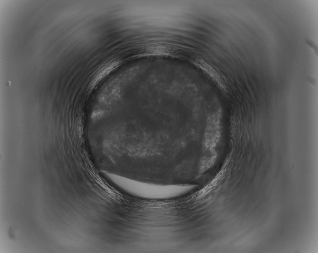 X0000097840826200804041441