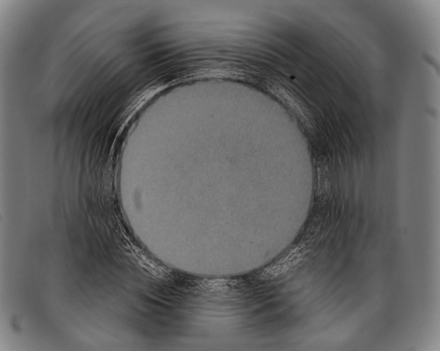 X0000097840828200804041441