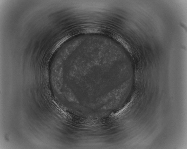 X0000097840829200804041441