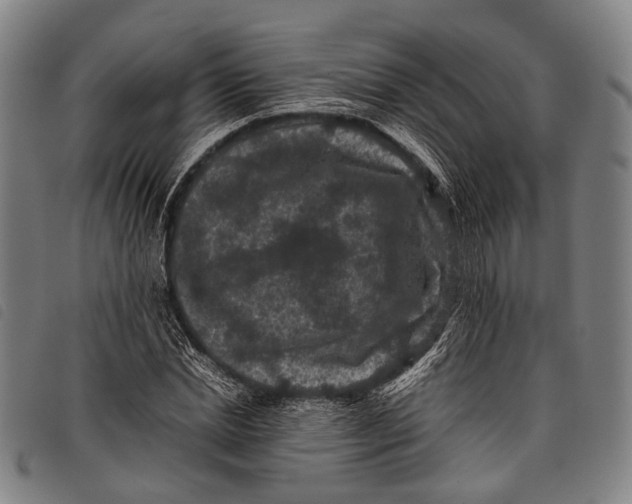 X0000097840830200804041441