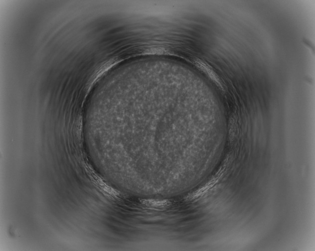 X0000097840831200804041441
