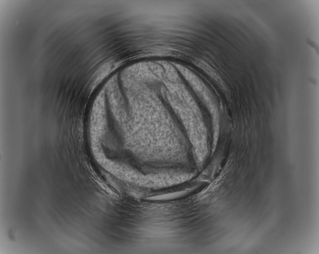 X0000097840834200804041441