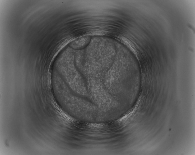 X0000097840835200804041441