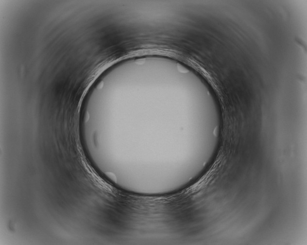 X0000097840836200804041441