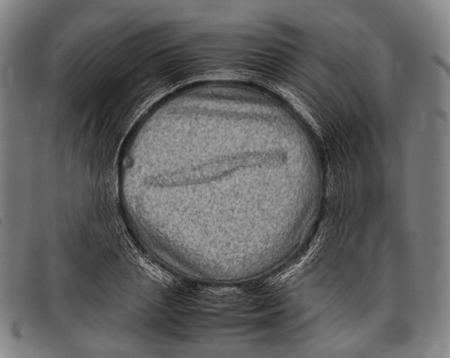 X0000097840837200804041442