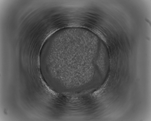 X0000097840839200804041442