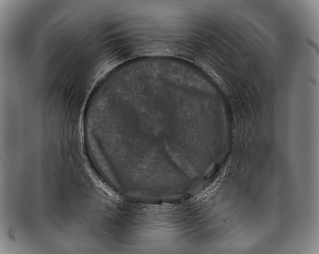 X0000097840840200804041442