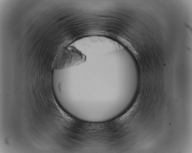 X0000097840841200804041442