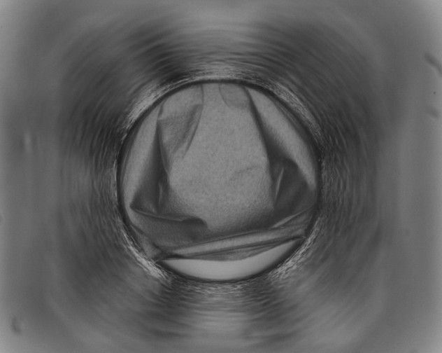 X0000097840842200804041442