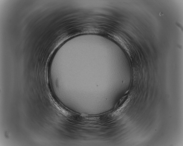 X0000097840843200804041442