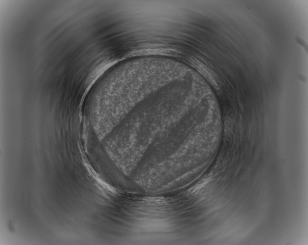 X0000097840844200804041442