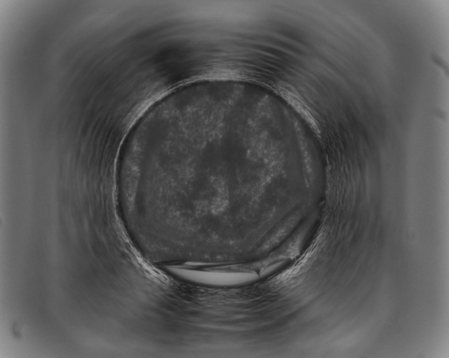 X0000097840845200804041442