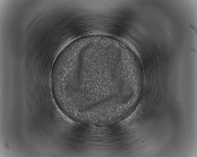 X0000097840847200804041442