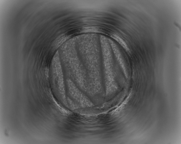 X0000097840849200804041442