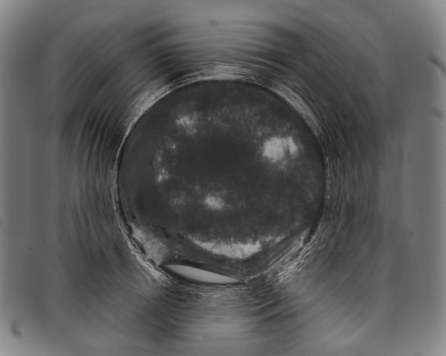 X0000097840850200804041442