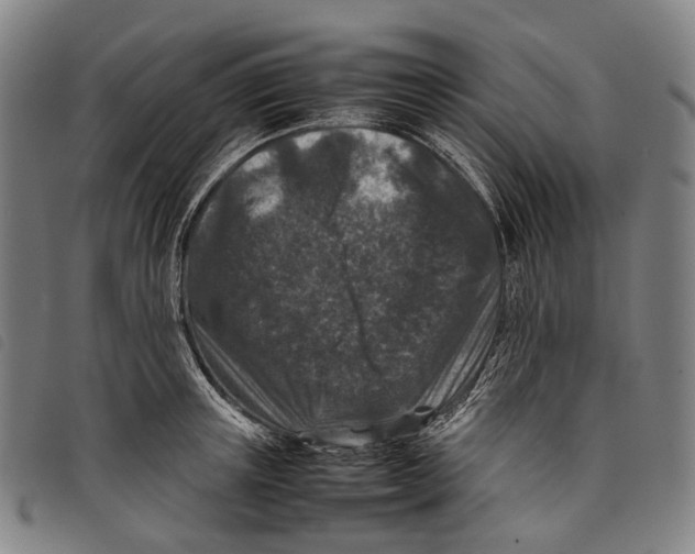 X0000097840851200804041442