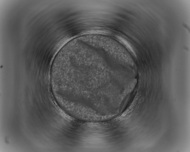 X0000097840852200804041442