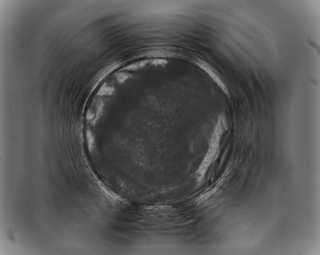 X0000097840853200804041442