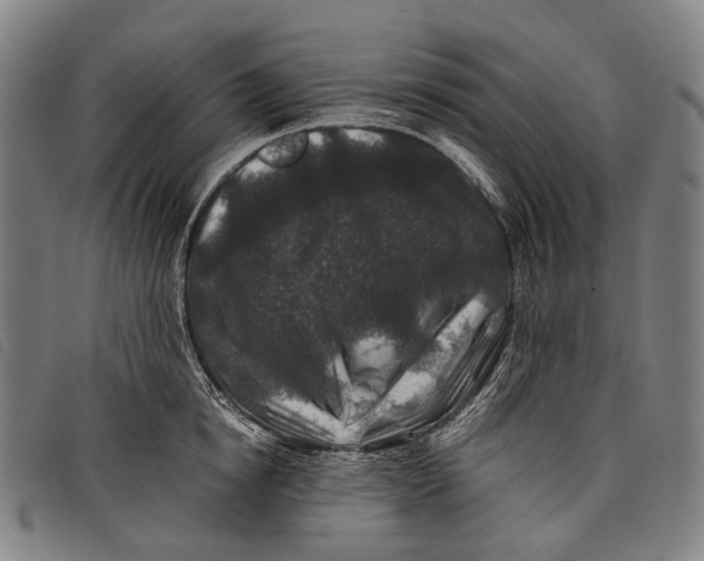 X0000097840854200804041442