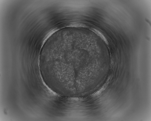 X0000097840855200804041442