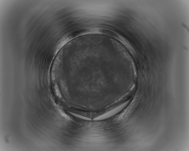 X0000097840858200804041442