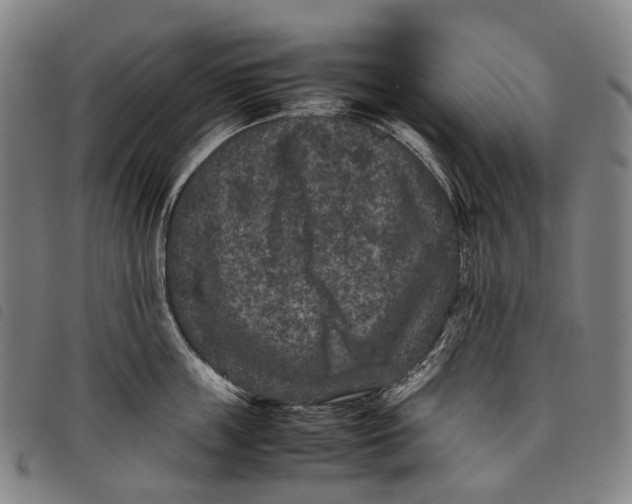 X0000097840859200804041442
