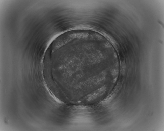 X0000097840862200804041442