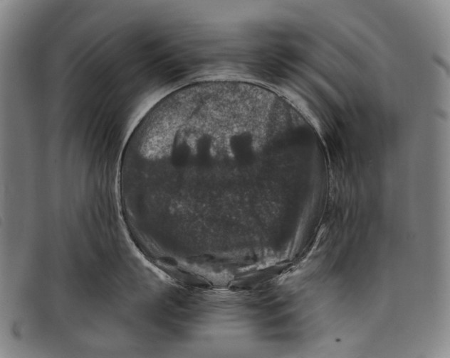 X0000097840863200804041442