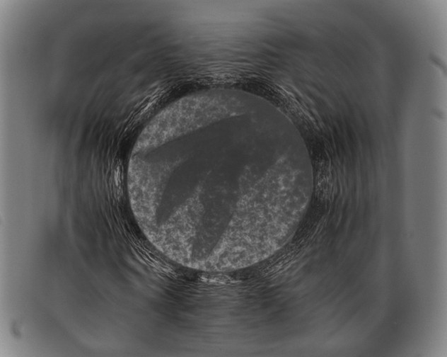 X0000097840866200804041441