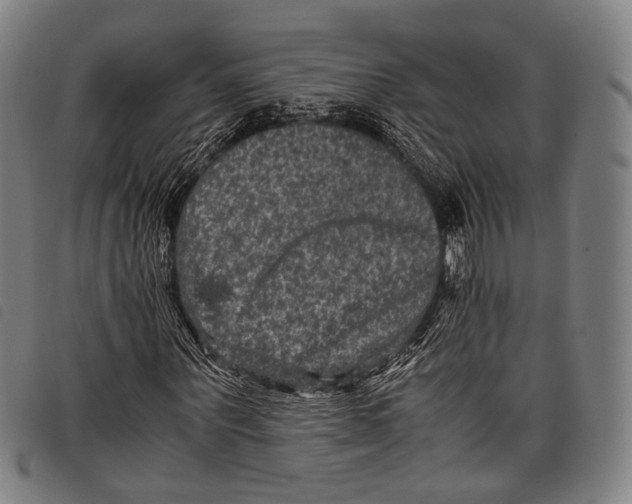 X0000097840867200804041441