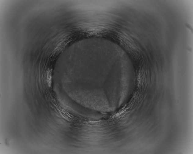 X0000097840868200804041441