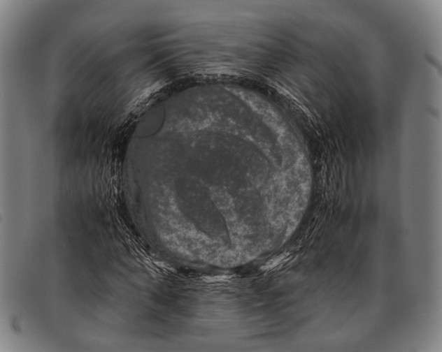 X0000097840870200804041441