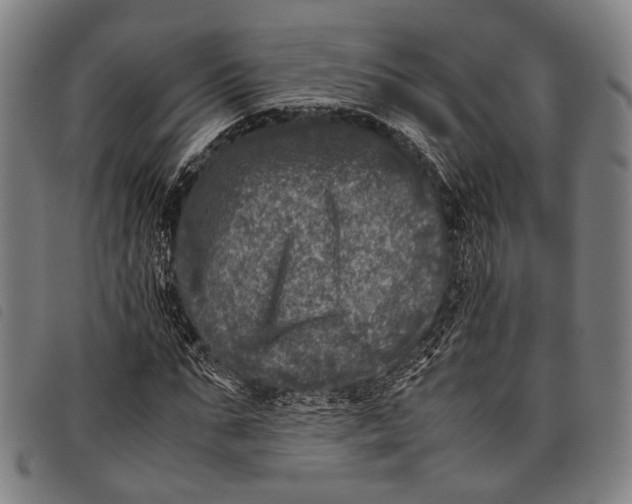 X0000097840871200804041441